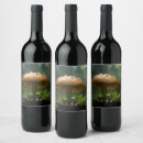 Pesquisar por cogumelo armazenamento alimentos Verde