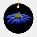 Pesquisar por africano de natal natal decoração Margarida africana