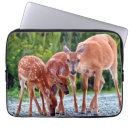 Pesquisar por cervos laptop sleeves Fanfarrão