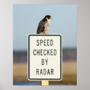 Pesquisar por ironia pôsteres Fotografia