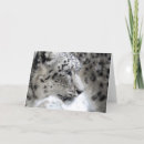 Pesquisar por charada cartoes Bonitinho