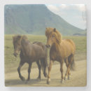 Pesquisar por pôneis porta copos Cavalo