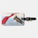 Pesquisar por john bagagem tags Audubon de john james