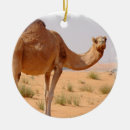 Pesquisar por árabes ornamentos Animal