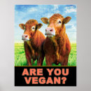 Pesquisar por vegan pôsteres Vacas