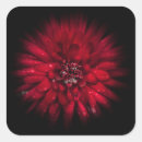 Pesquisar por fluxo da adesivos Flor