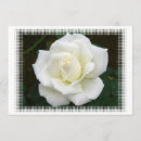 Pesquisar por significado convites Rosa