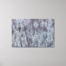 Pesquisar por wolf impressão de canvas Floresta
