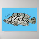 Pesquisar por garoupa pôsteres Peixe