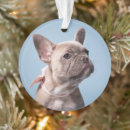Pesquisar por cães buldogue francês de natal decoração Filhote