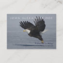 Pesquisar por ornitologia Ornithologist