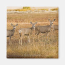 Pesquisar por câmera imas Natureza