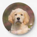 Pesquisar por bonito pratos Aniversário