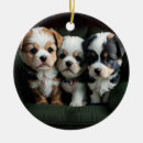 Pesquisar por castanha ornamentos Cor