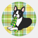Pesquisar por boston terrier adesivos Bonito