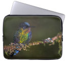 Pesquisar por do colibri capas Pássaro