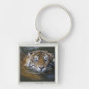 Pesquisar por panthera Animal