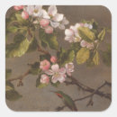 Pesquisar por do colibri adesivos Primavera
