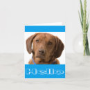 Pesquisar por chocolate labrador cartoes Pensando em você