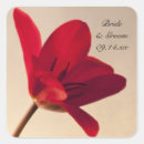 Pesquisar por selo da tulipa Flores