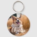 Pesquisar por pet memorial chaveiros Gato