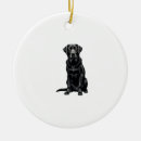 Pesquisar por labrador retriever ornamentos Filhote