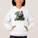 Pesquisar por menino da panda Selvagem