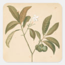 Pesquisar por painel adesivos Painéis