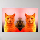 Pesquisar por anjo gato pôsteres Gatos