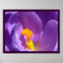 Pesquisar por flor azul pôsteres Impressão