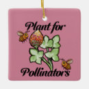 Pesquisar por planta ornamentos Jardineiro
