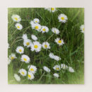 Pesquisar por flores em ramos quebra cabecas Cereja