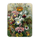 Pesquisar por arte imas Colheita