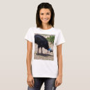 Pesquisar por cassowary camisetas Cassete