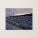 Pesquisar por campos da lavanda quebra cabecas France