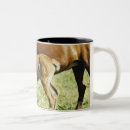 Pesquisar por potros canecas Cavalo