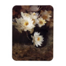 Pesquisar por água branca imas Lírios de água