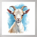 Pesquisar por goat pôsteres Animais