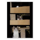 Pesquisar por admirador cartoes postais Engraçado