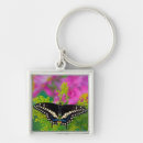 Pesquisar por rabo chaveiros Papilio polyxenes