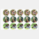 Pesquisar por girafas do girafa etiquetas Zoológico