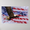 Pesquisar por bandeira estrela azul pósteres pôsteres Branca