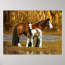 Pesquisar por éguas pósteres pôsteres Água