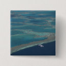 Pesquisar por azul turquesa botons Mar