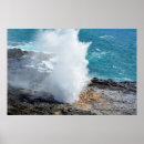 Pesquisar por horn pósteres pôsteres Oceano