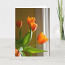 Pesquisar por tulips fotografia Friend