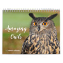 Pesquisar por da coruja calendarios Aves de rapina