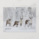 Pesquisar por dedo cartoes Inverno