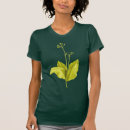 Pesquisar por hortaliças camisetas Folha