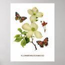 Pesquisar por vintage botanical pósteres pôsteres Botânica